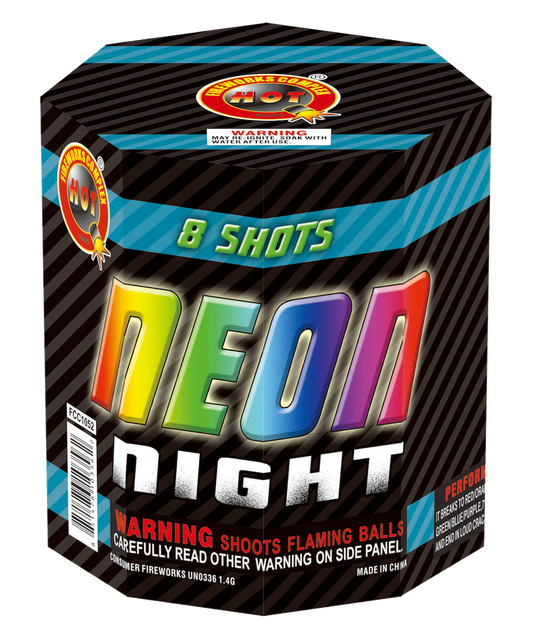 Neon Night