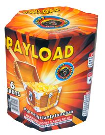 Payload