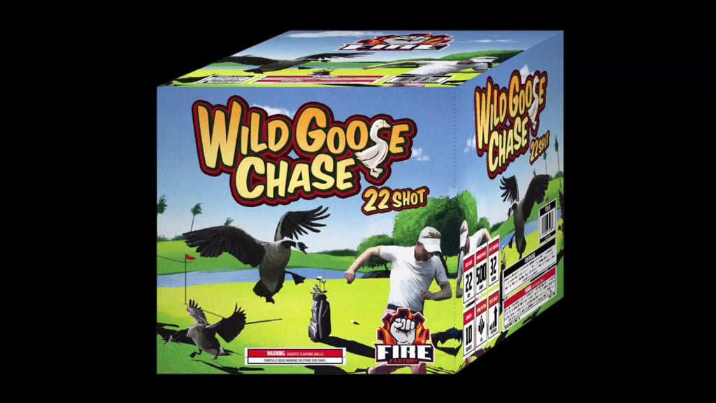 Wild Goose Chase